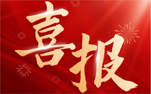 集團(tuán)榮膺2025中國民營企業(yè)500強(qiáng)第249位，制造業(yè)民營企業(yè)500強(qiáng)第177位，排名較去年雙雙大幅提升